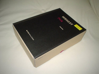 WS023T